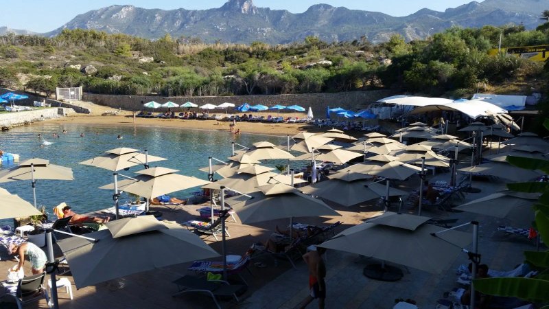 shayna beach club