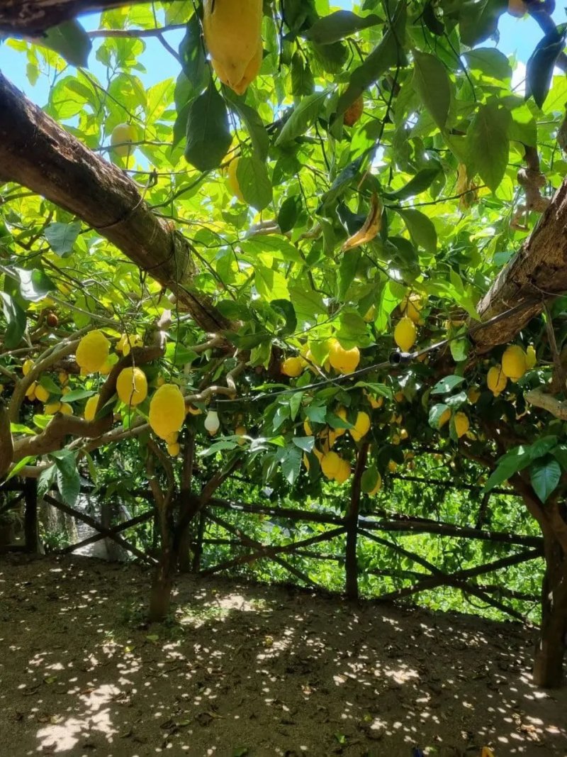 Agriturismo villa maria