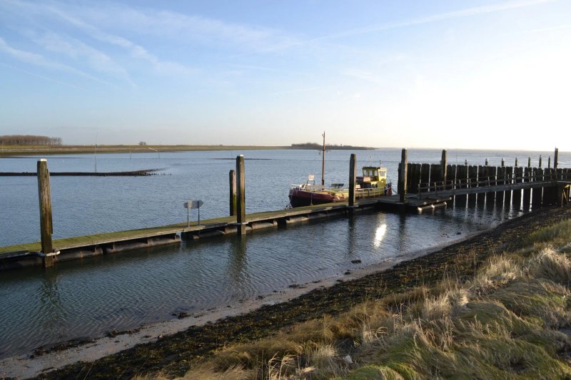 Brasserie De Zeester
