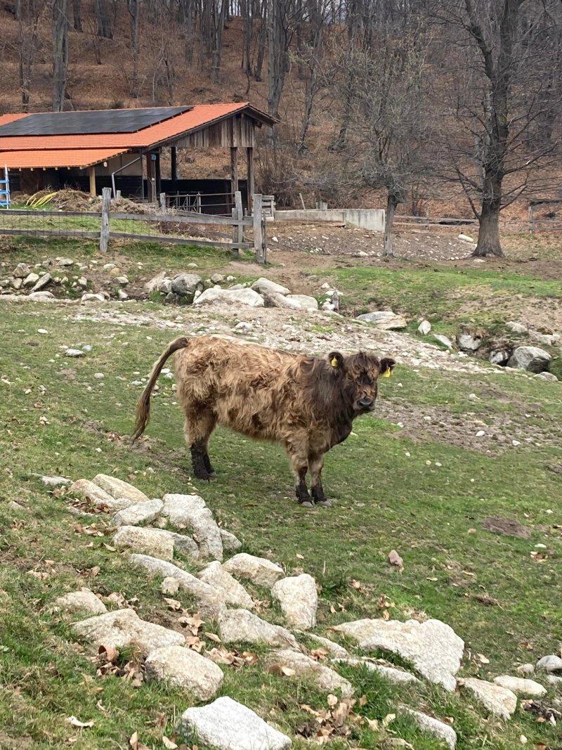 Agriturismo Il Barchetto