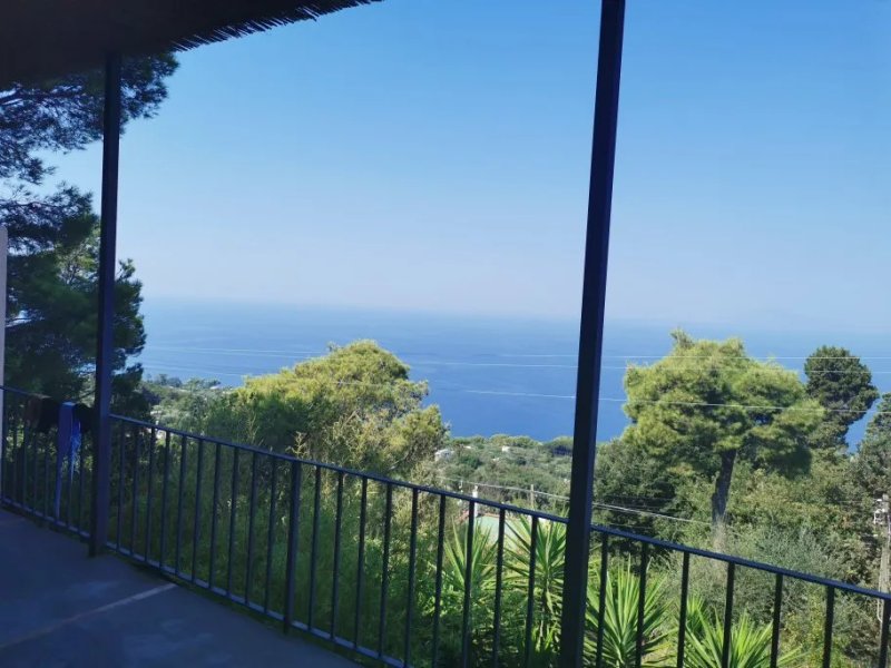 Alle Ginestre Capri Bed & Breakfast