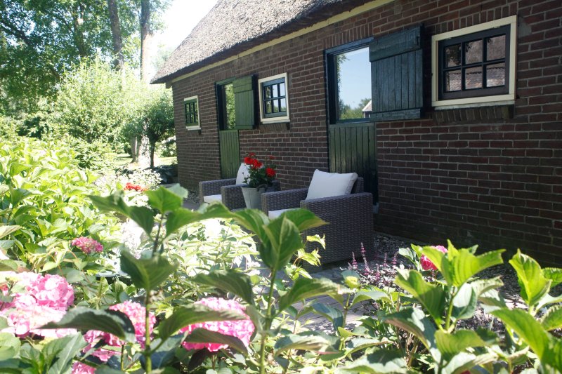 Plompeblad Giethoorn