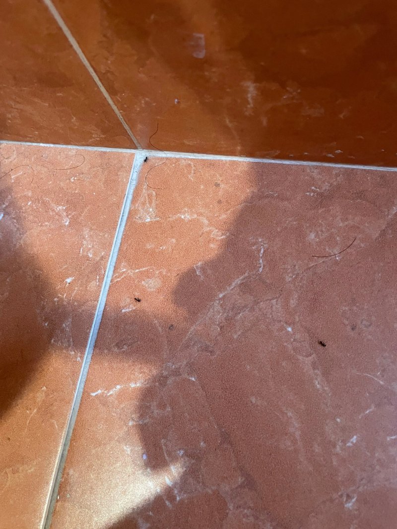Hotel delle terme & spa