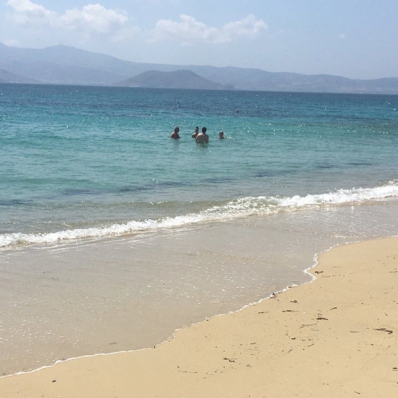 Princess of Naxos
