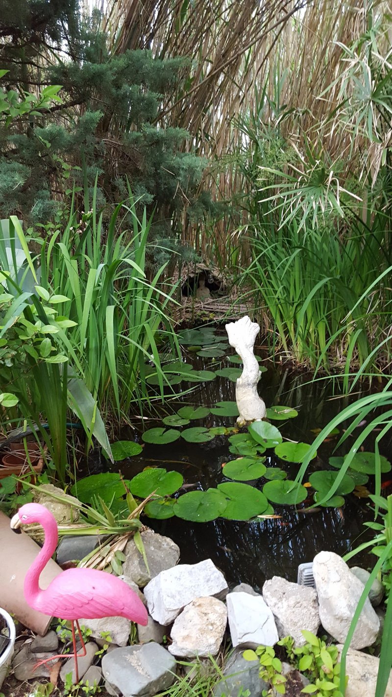 La Lucques Masabelle