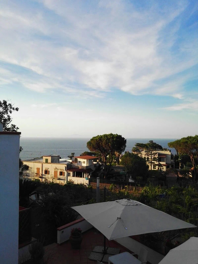 Villa Araucaria