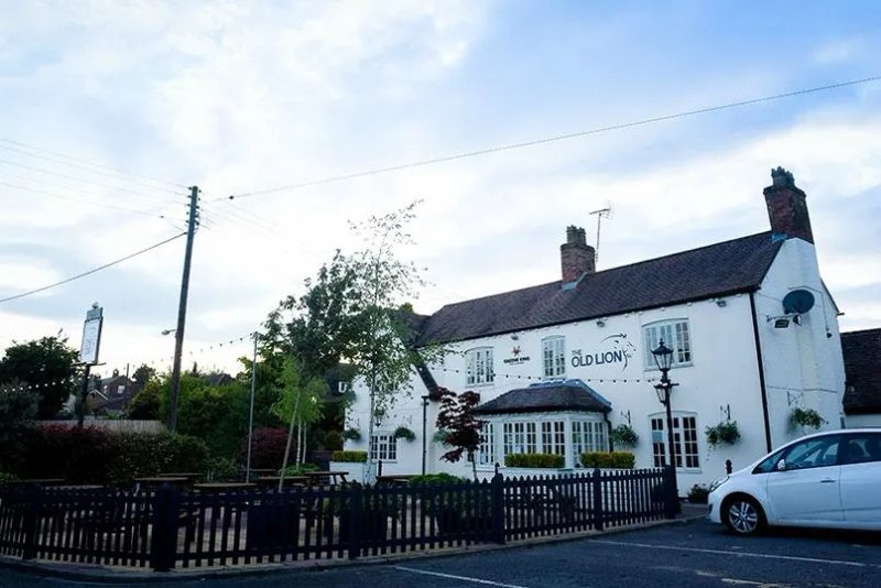 Old Lion Rugby