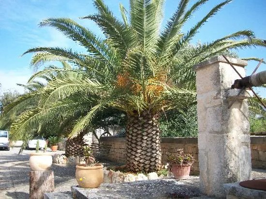 Masseria Tolla