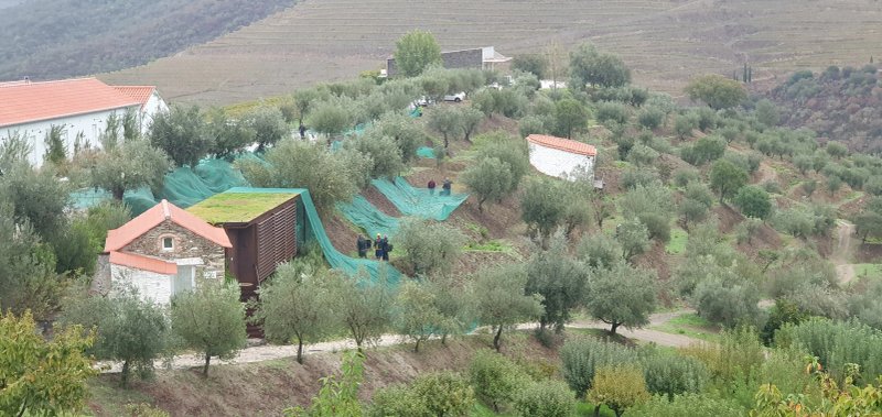 Quinta da Ventozela