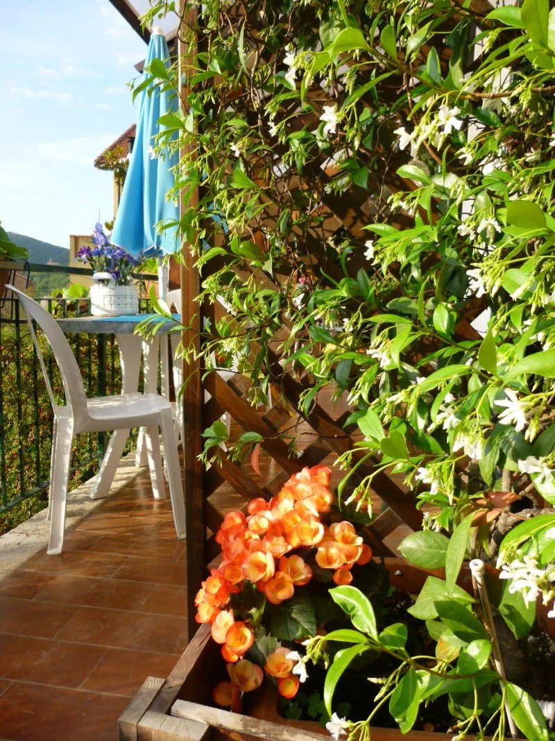 Bed & breakfast Il Melograno