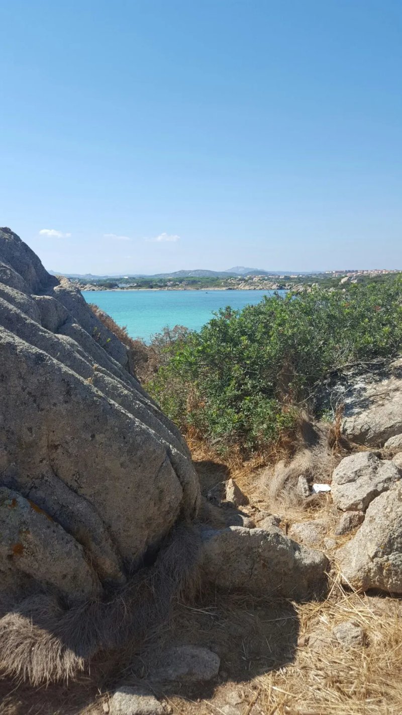 B&B Cala Peticchia
