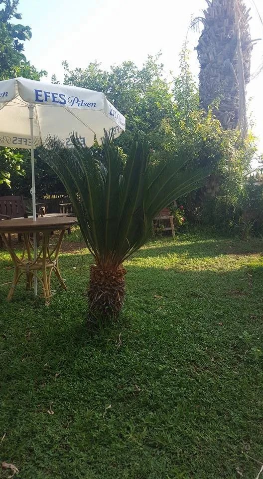 Zehra Restaurant