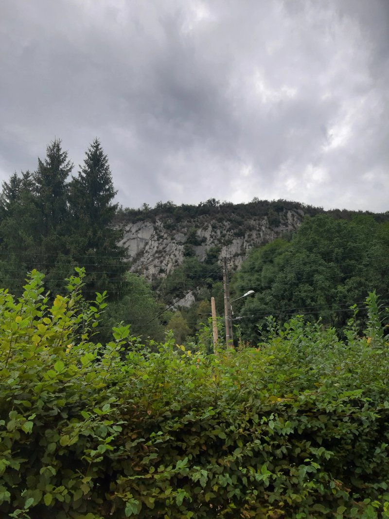 L'annexe