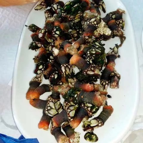 Restaurante El Raso