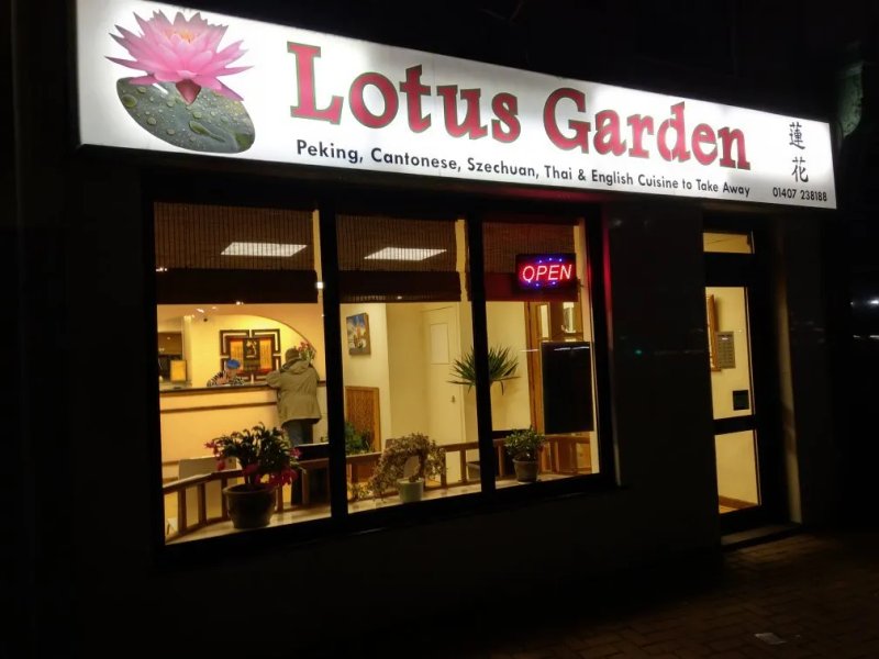 Lotus Garden