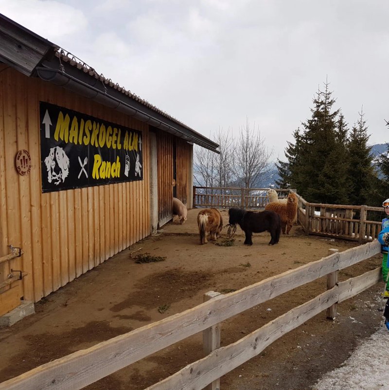 Maiskogel Alm Ranch