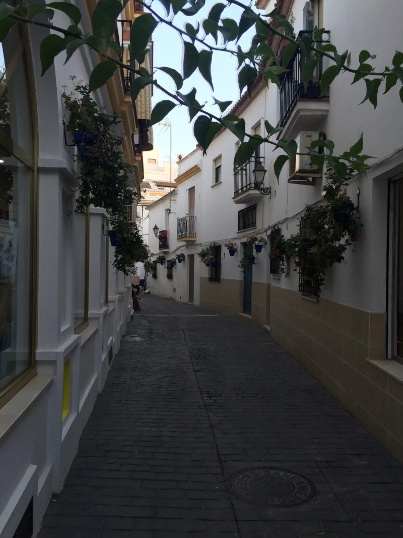 Las Brisas