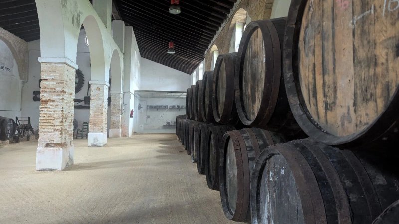 Bodegas Alonso
