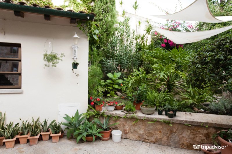 Hotel Son Sant Jordi