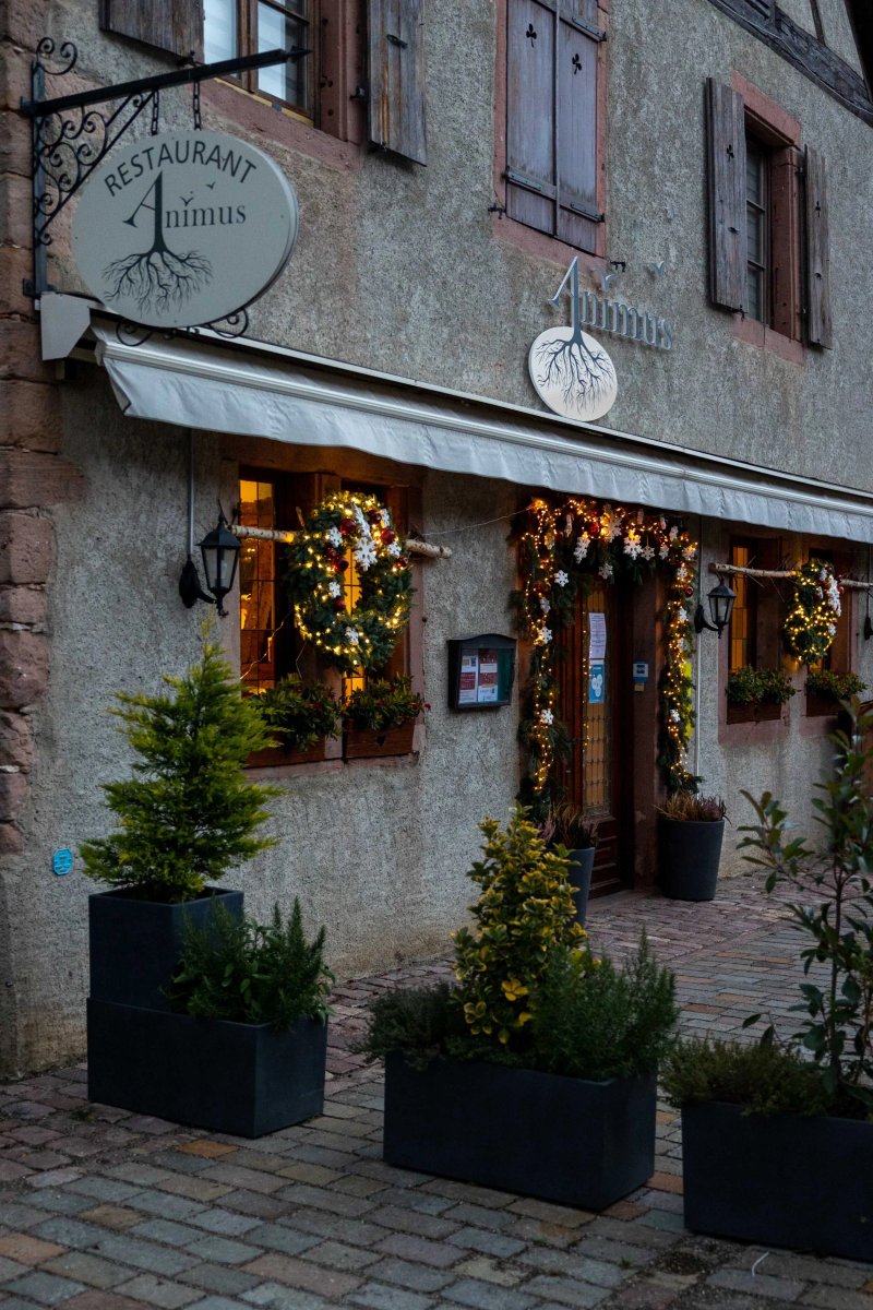 Restaurant Animus