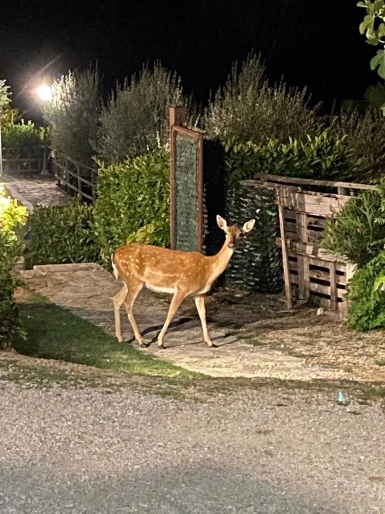 Agriturismo Marilena la Casella