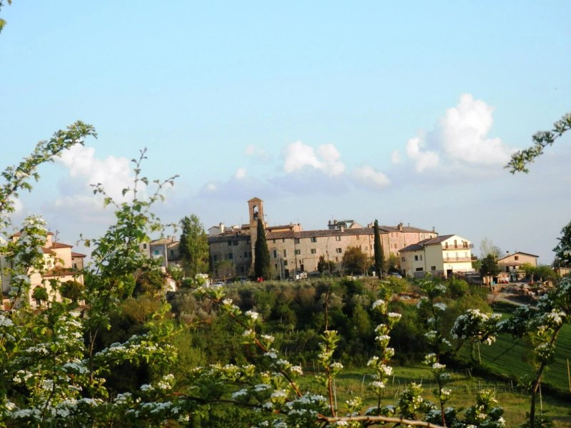 La Terrazza fio...Rita