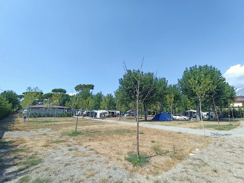 Camping Taimi
