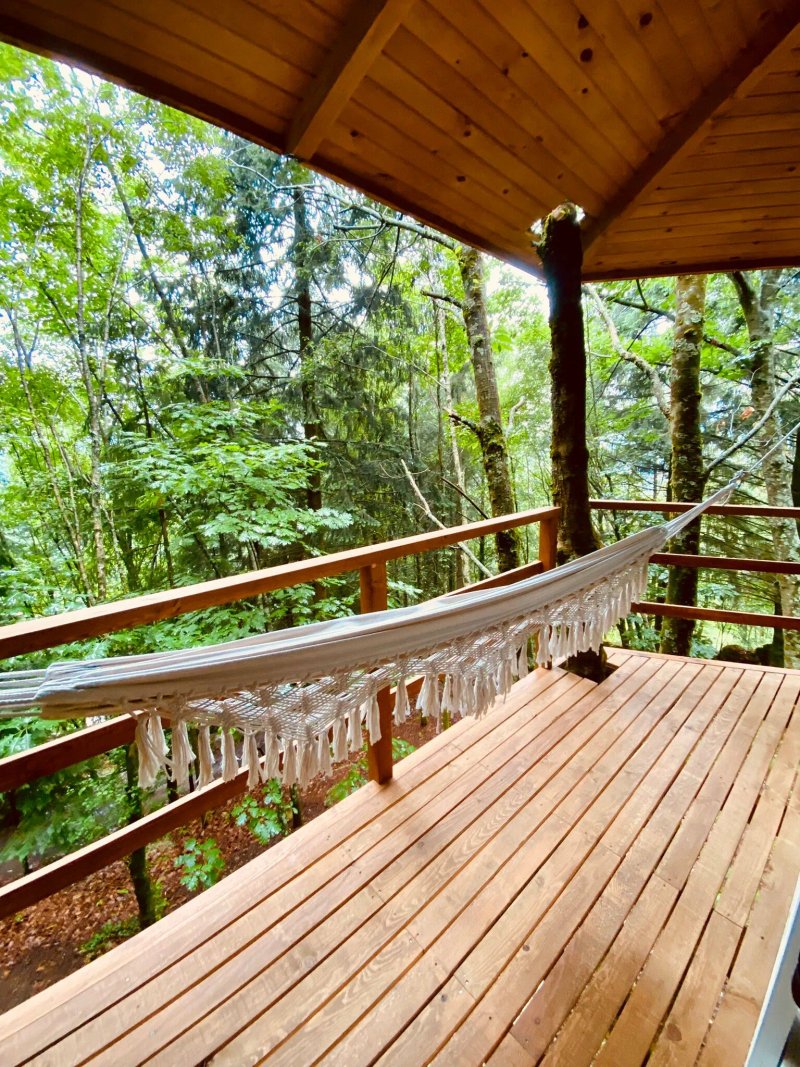 Secret do Gerês Treehouse Tourism