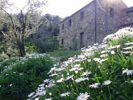 Agriturismo Uliveto nel Parco