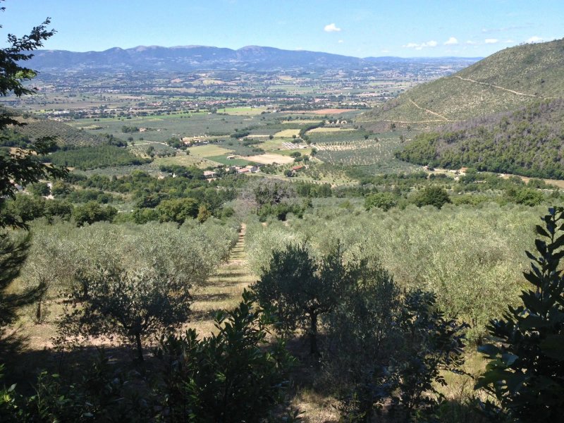 Agriturismo Istrice Innamorato