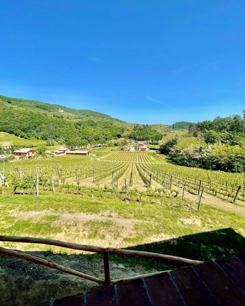 Agriturismo Tenuta Adamo