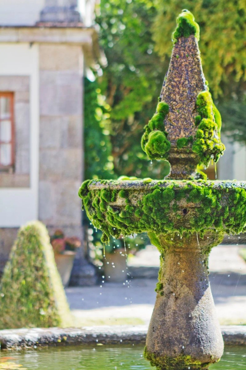 Quinta Do Convento Da Franqueira
