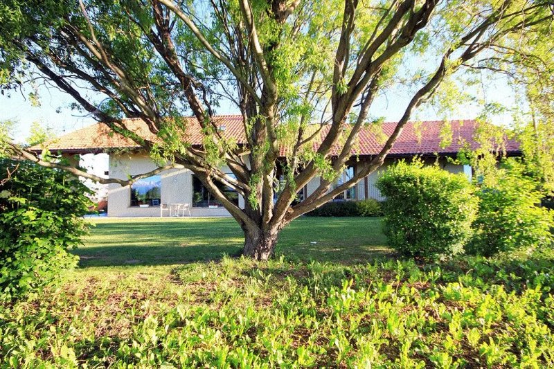 Bed and Breakfast  GEA
