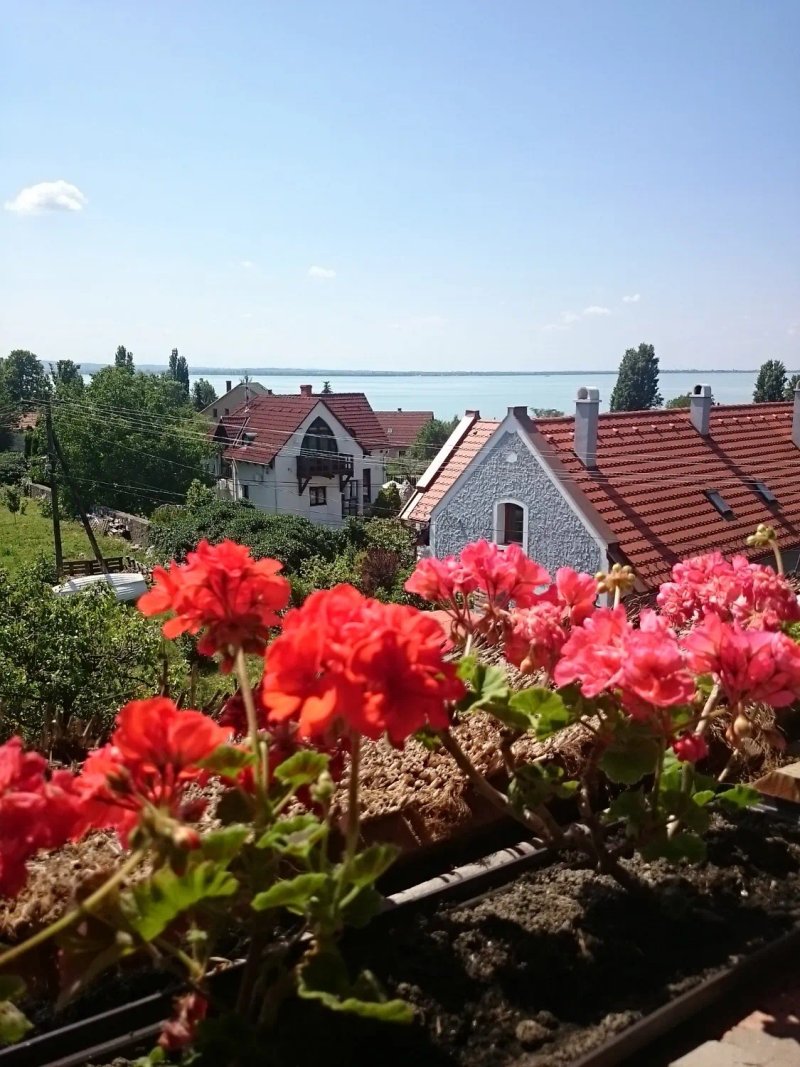 Cselling Udvarhaz