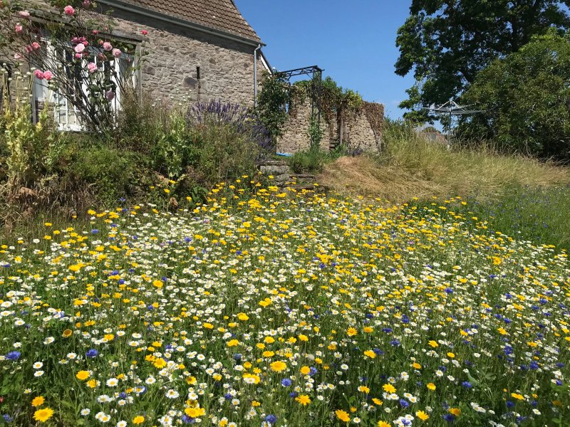 Oak Farm