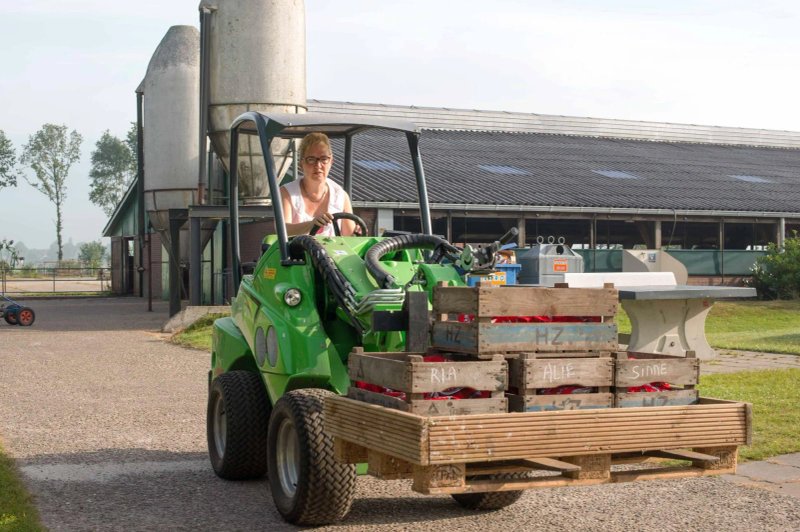 FarmCamps De Geele Bosch
