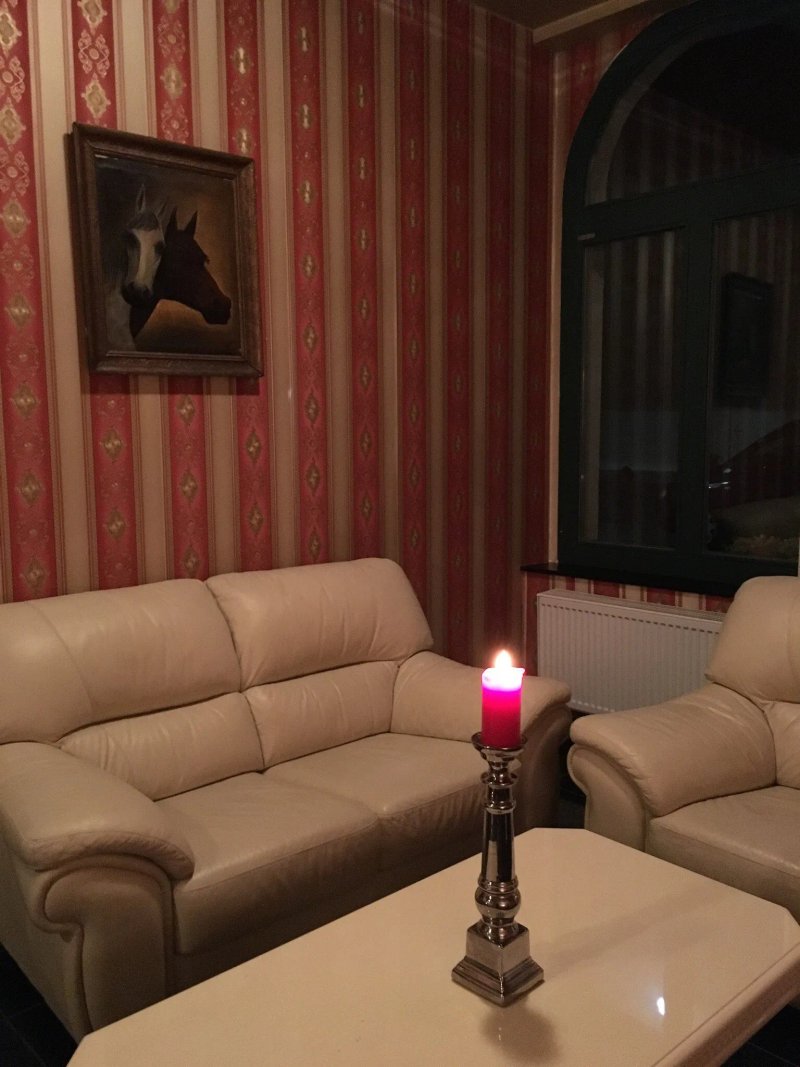 Hotel Zlaty Lev Zatec
