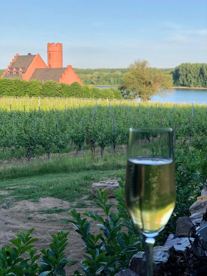 Weinstube Gelbes Haus