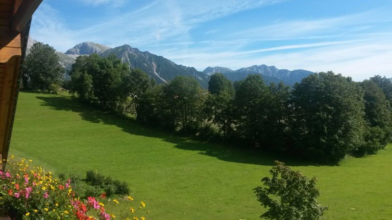 Brandlhof - Urlaub am BioBauernhof