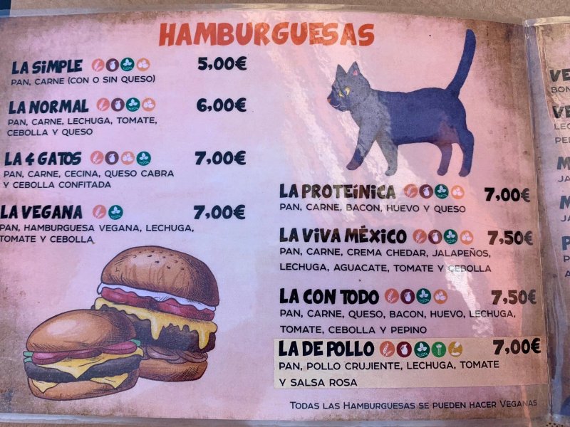 4 Gatos