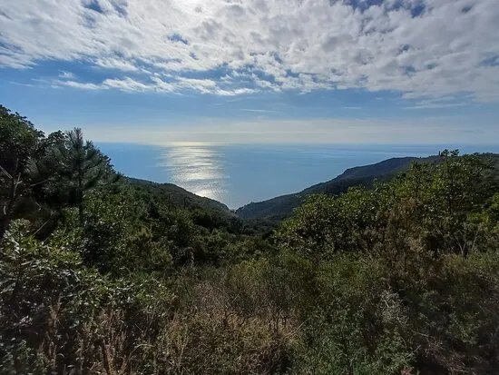 Il sentiero da Riva Trigoso a Moneglia