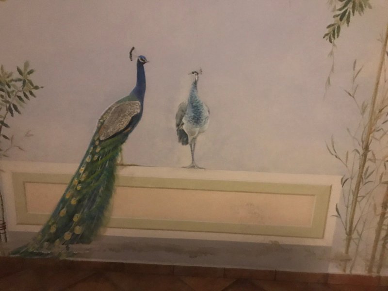 B&B Villa Agnolaccio