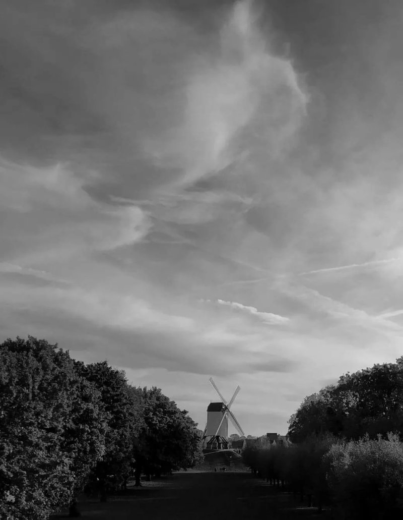 B&B Bariseele
