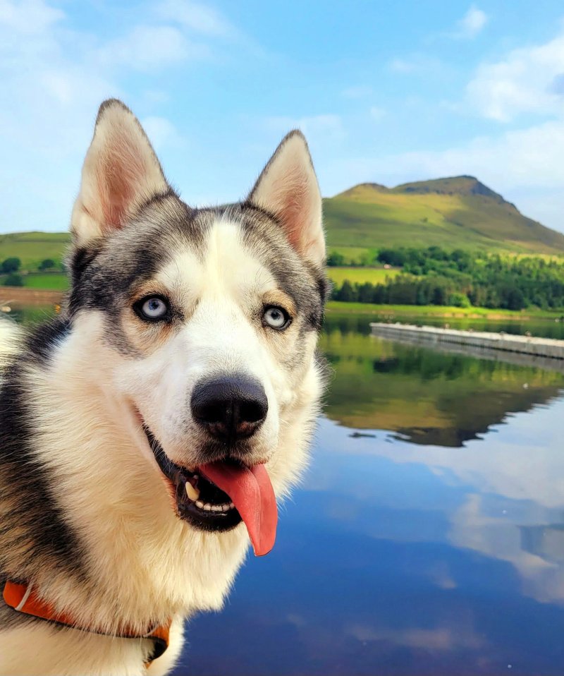Dovestone Holiday Park