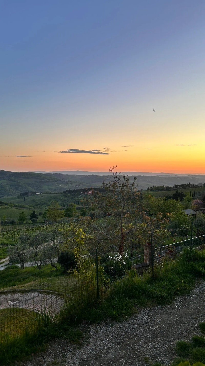 Il Vescovino