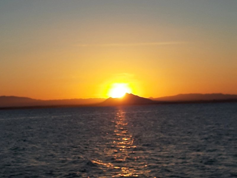 Freiduria Mar Menor