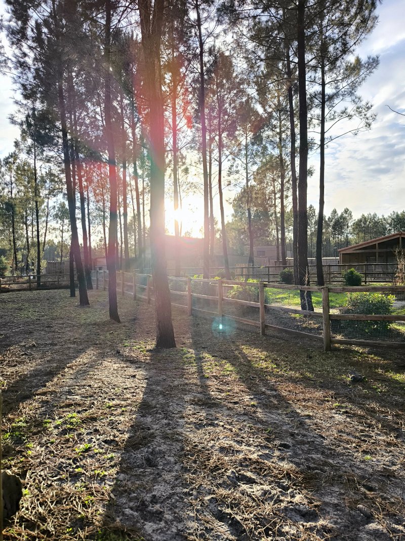 Center Parcs - Domaine les Landes de Gascogne