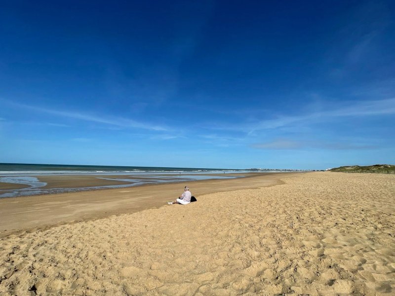 Residence Goelia la Grande Plage