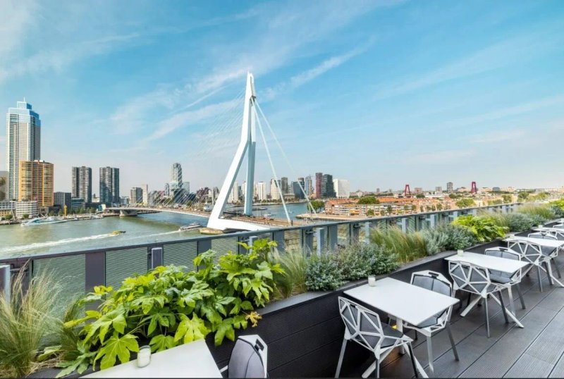 Gastrobar Elvy By Nhow