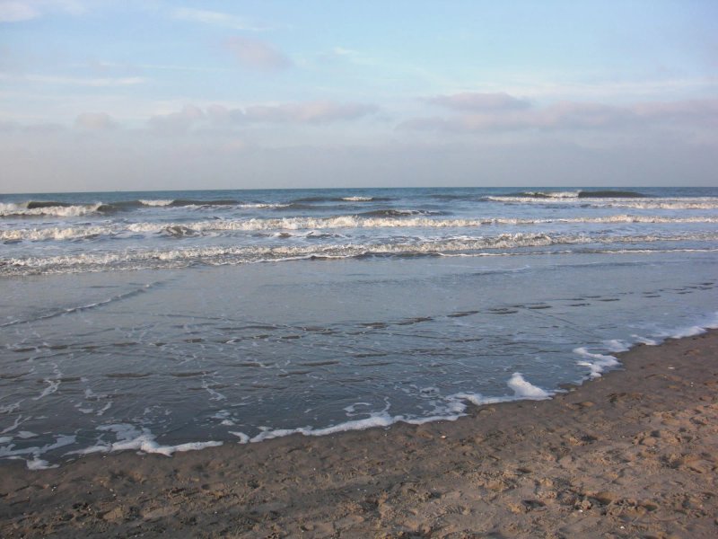 Matai